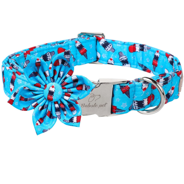 Lionheart leash &collar set of 2pcs different color M size