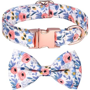 Lionheart leash &collar set of 2pcs different color M size