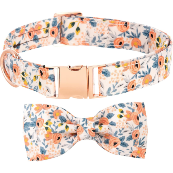 Lionheart leash &collar set of 2pcs different color M size