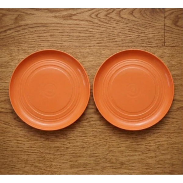 Lightweight 2-piece plastic bowl set suitable for everyday use