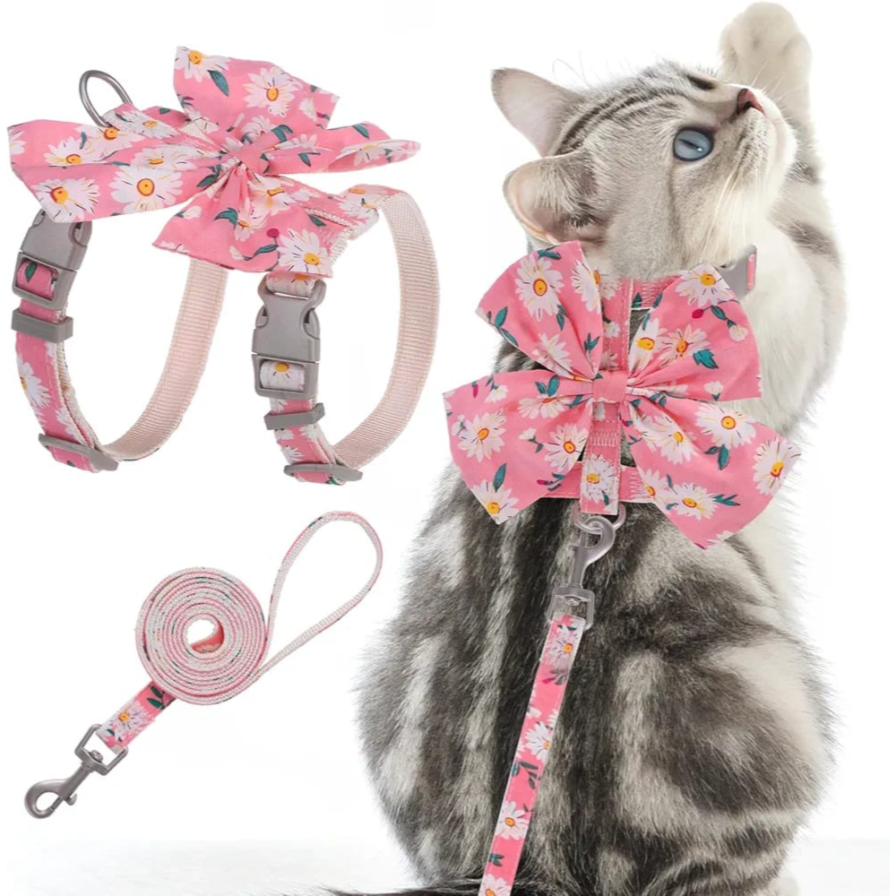 Rawchie cat leash & harness floral pink