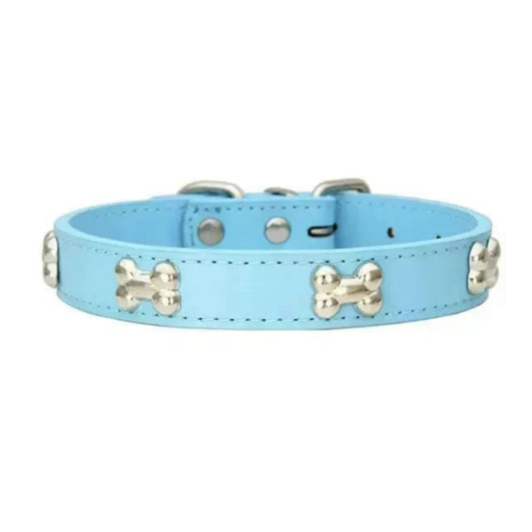 Light blue high-quality collar, strong and durable, with an elegant bone design that adds a stylish touch and makes your pet stand out