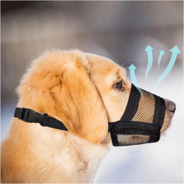 Evollax dog muzzle M size