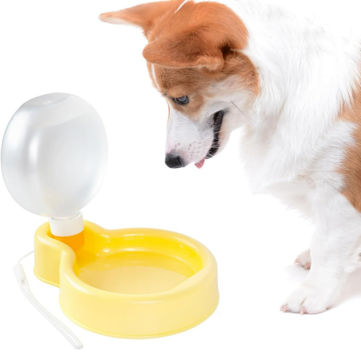 Practical Dog Water Dispenser Lightweight and Easy to Use Outdoors