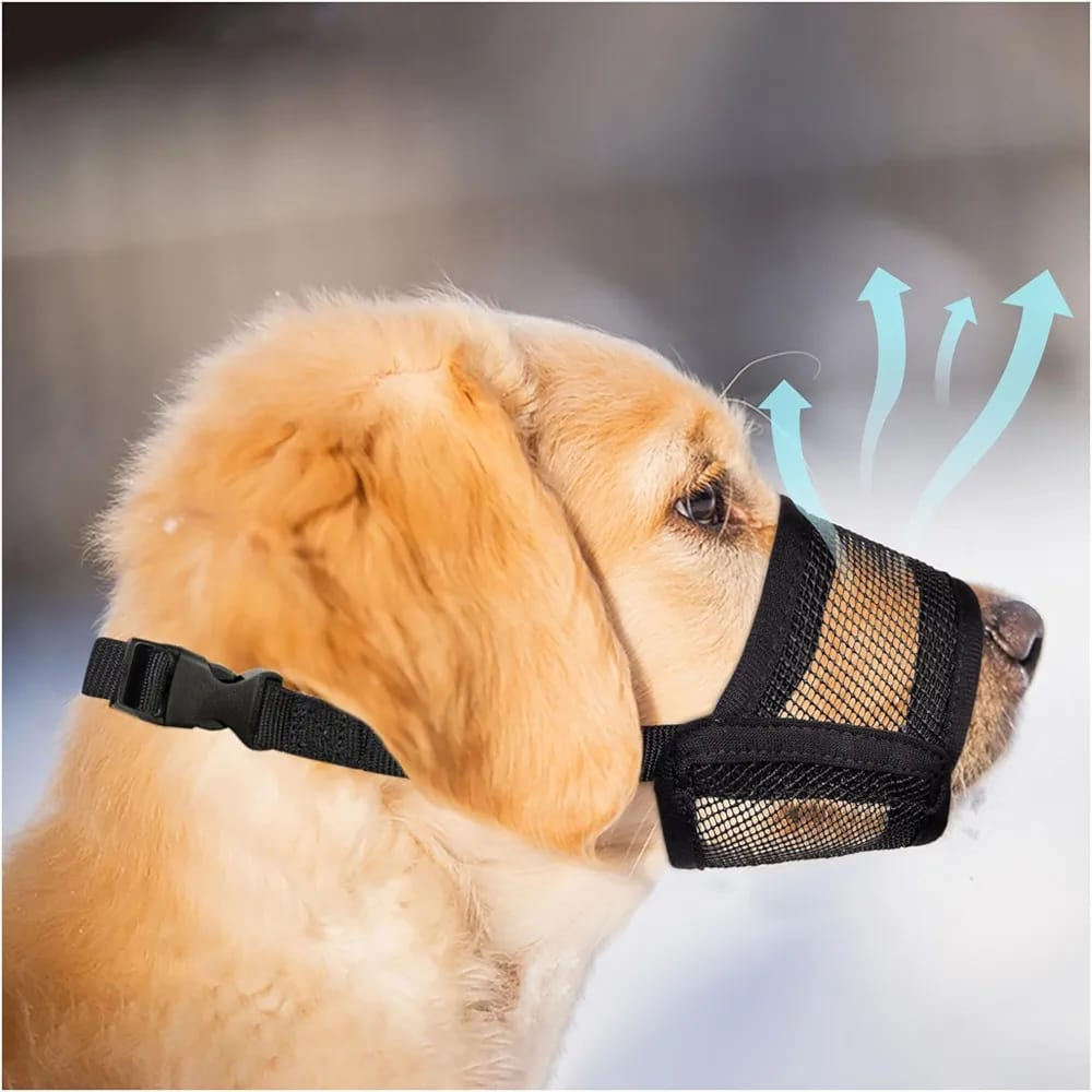 Evollax dog muzzle l size