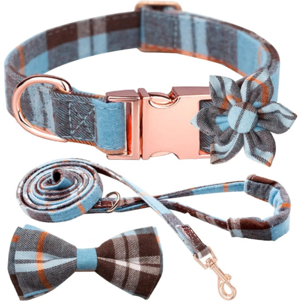 Set of 2 pcs coller & leash blue charohs L size