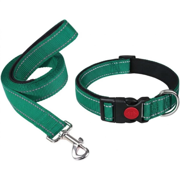 Reflective Dog Leash Different Color M Size