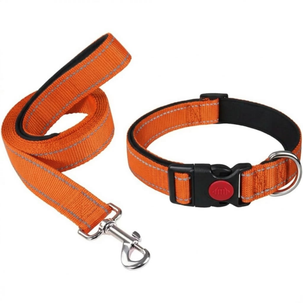 Reflective dog leash different color M size