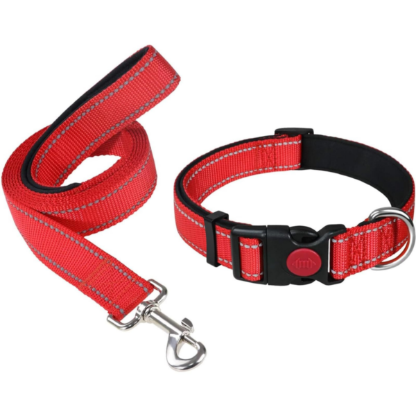 Reflective dog leash different color M size
