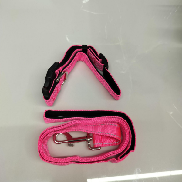 Durable & Stylish Dog Collar And Leash Set – Medium Size, Leash Length:140Cm, Collar Length 40Cm
