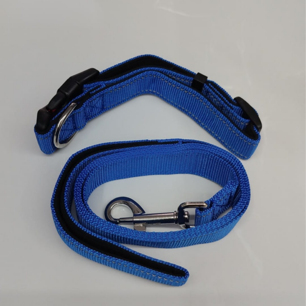 Durable & Stylish Dog Collar And Leash Set – Medium Size, Leash Length:140Cm, Collar Length 40Cm