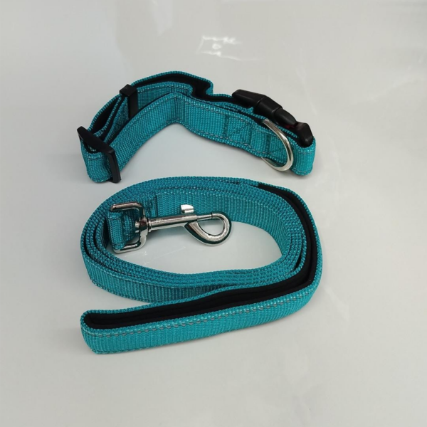 Durable & Stylish Dog Collar And Leash Set – Medium Size, Leash Length:140Cm, Collar Length 40Cm