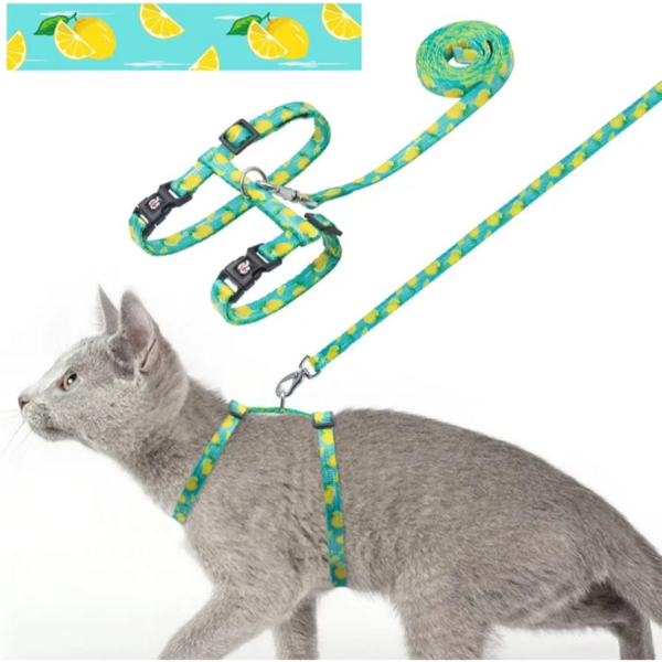Azuza cat hearness & leash set Leash 120cm Harness neck size 18cm-25.5cm Chest size:25.5cm-43cm
