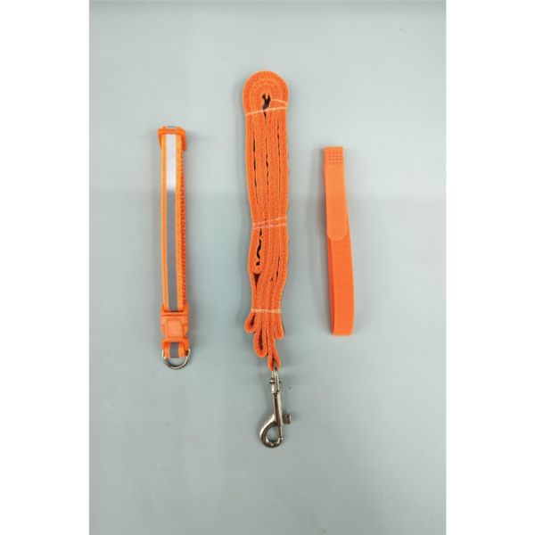 Set of 3 pcs leash, collar different color