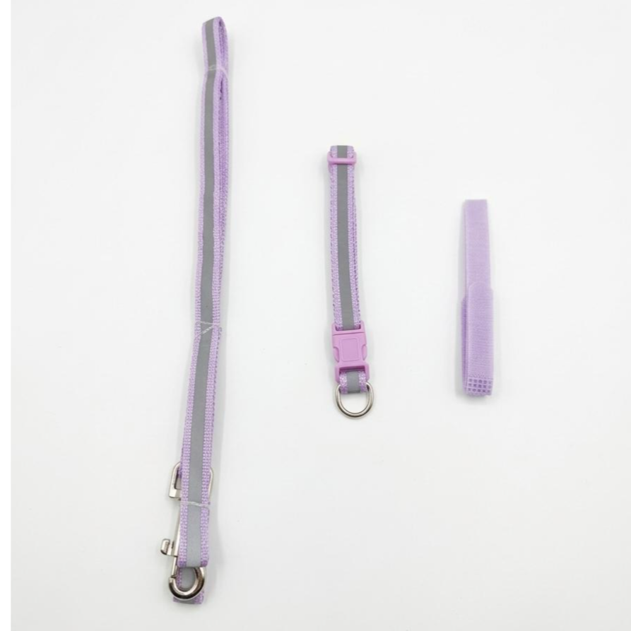 Set of 3 pcs leash, collar different color