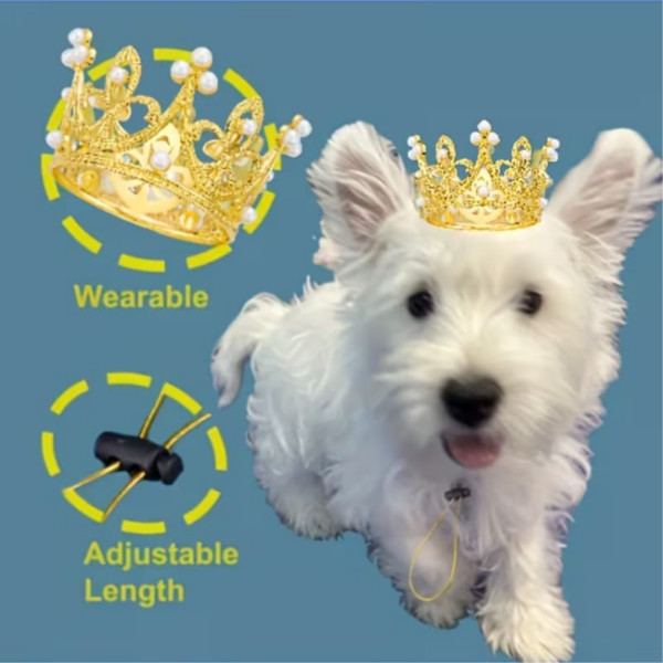 Mini Pet Crown 1 pc