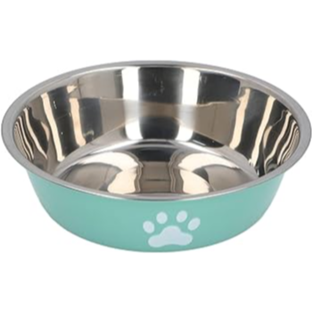 Stainless stell bowel green paw print