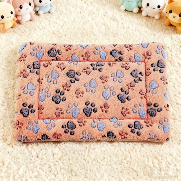 Pet Mat Diff Color Length 45cm Width 33cm