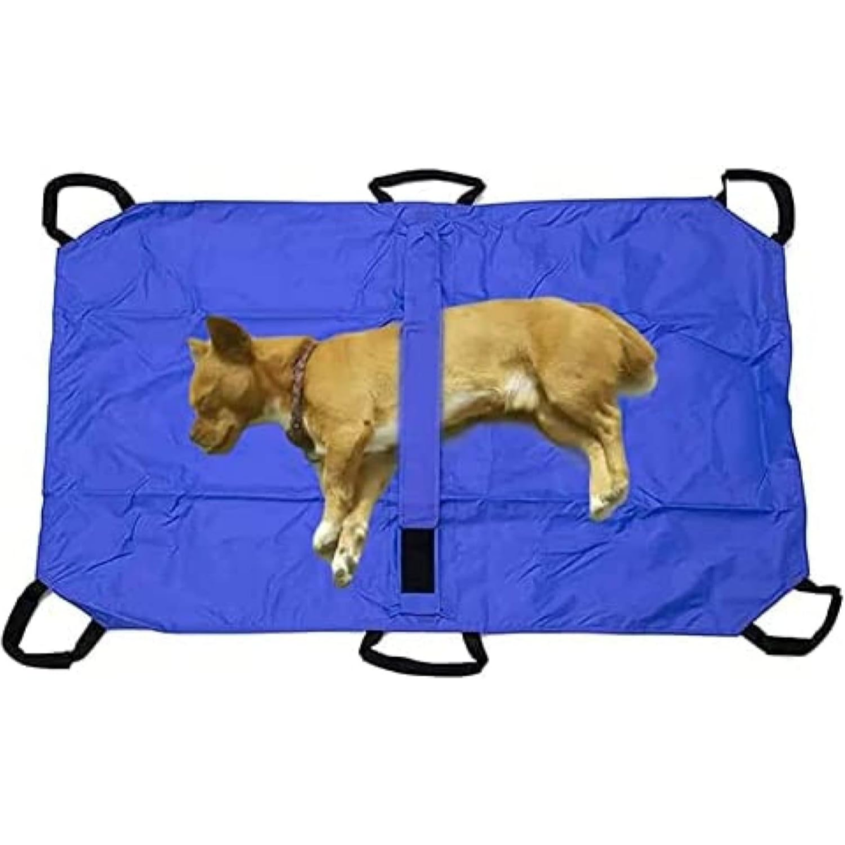 Pet rescue carrier Blue