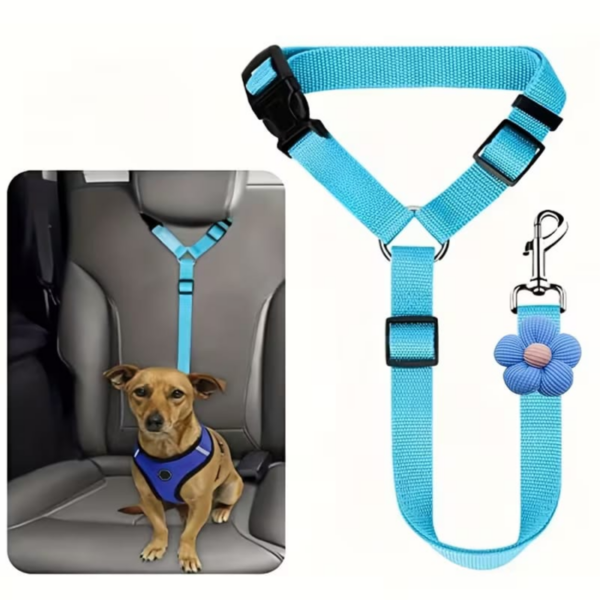 Dog Leash Blue with flower Neck size 40cm-55cm Leash length 41cm-71cm