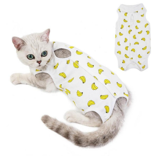 Cat Recovery Suits L size different color