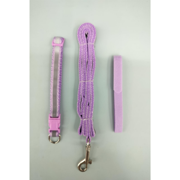 Set of 3 pcs leash, collar different color
