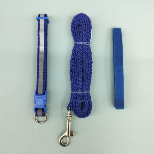 Set of 3 pcs leash , collar different color Leash 120cm Collar 22cm-28cm