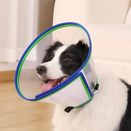 Soft Dog Cone Collar For Dogs After Surgery