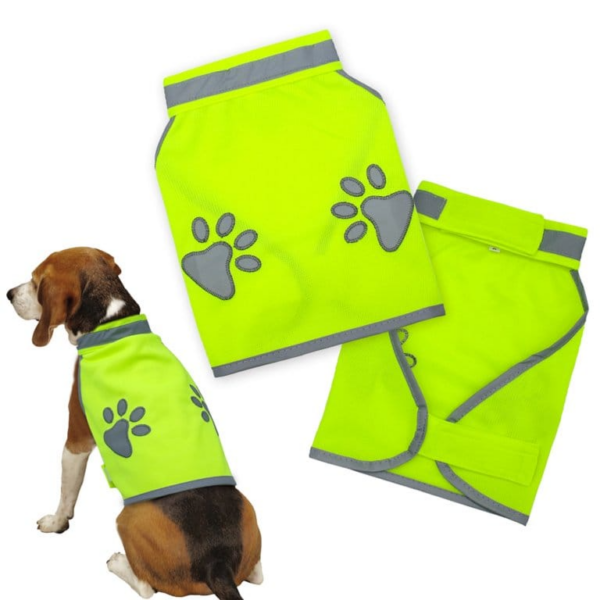 Pet shirt green neon S