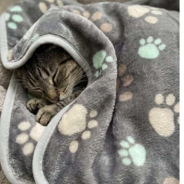 Blanket diff color Length 62cm Width 40cm - style 1