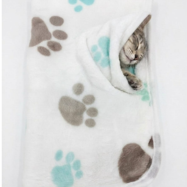 Blanket diff color Length 62cm Width 40cm - style 2
