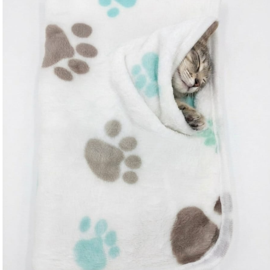Blanket diff color Length 62cm Width 40cm - style 2