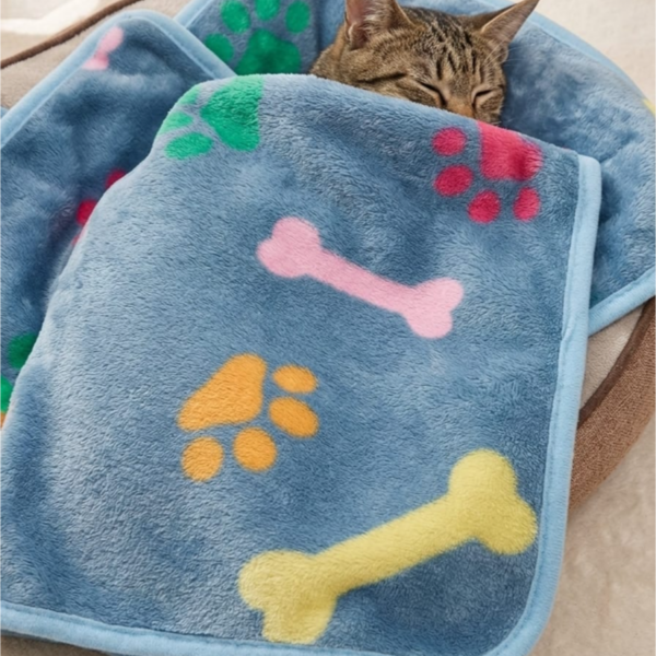 Blanket diff color Length 62cm Width 40cm - style 3
