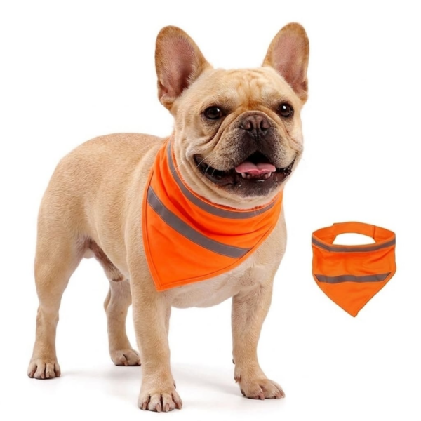 Dog Reflective Vest S Neon Orange