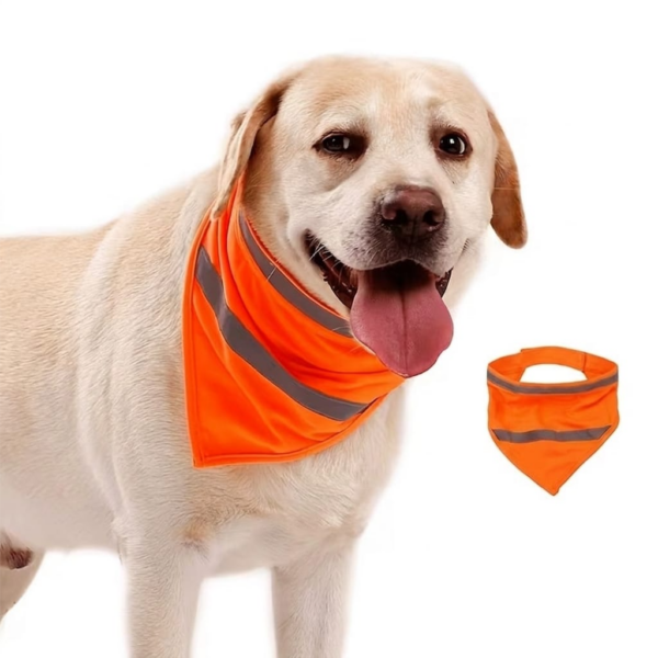 Dog Reflective Vest M Neon Orange