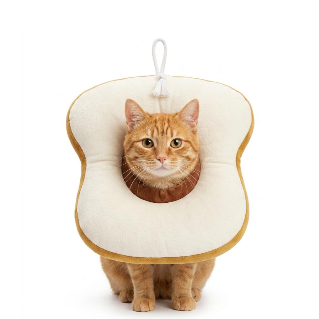 Recovary collar diff collar fruit shape M - style 3