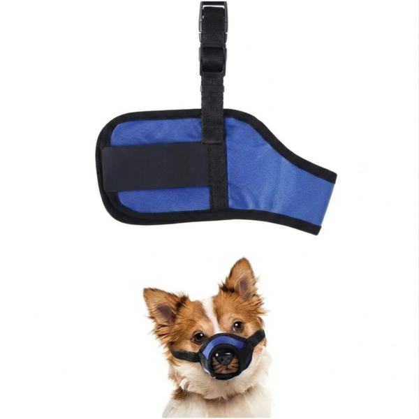 Shinylin Dog Muzzle Blue color size M