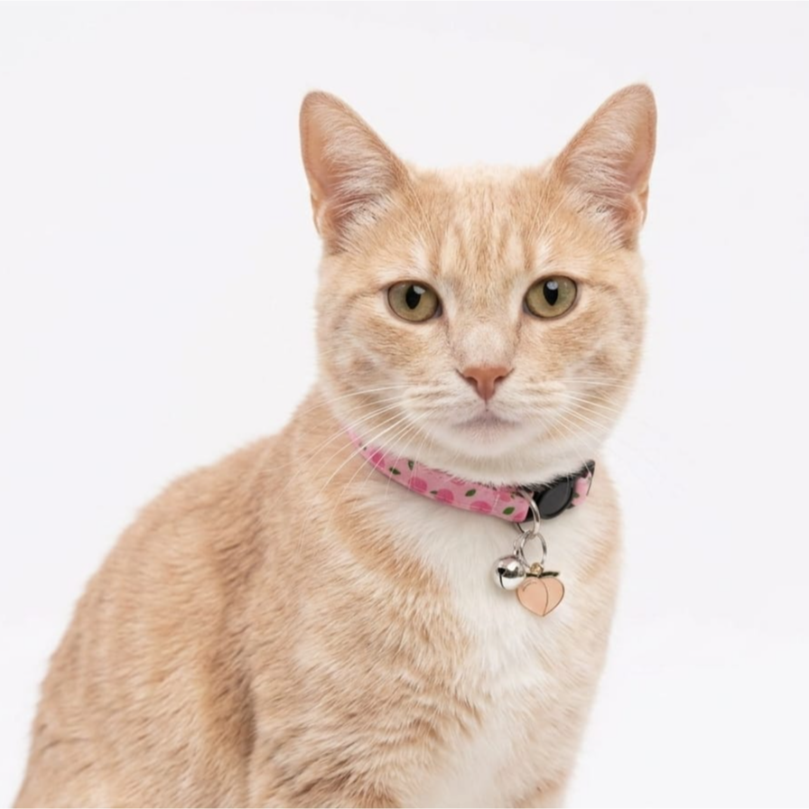 Breakway cat collars bells diffrent colour - style 1