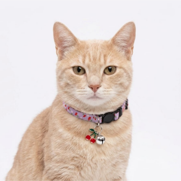 Breakway cat collars bells diffrent colour - style 10