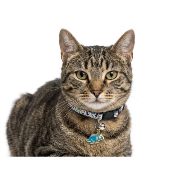 Breakway cat collars bells diffrent colour – style 12