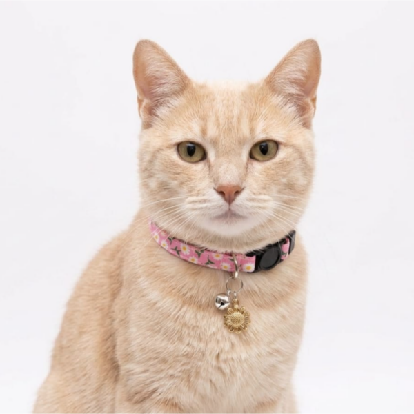 Breakway cat collars bells diffrent colour – style 13