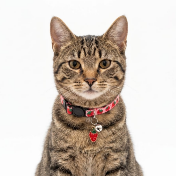 Breakway cat collars bells diffrent colour - style 16