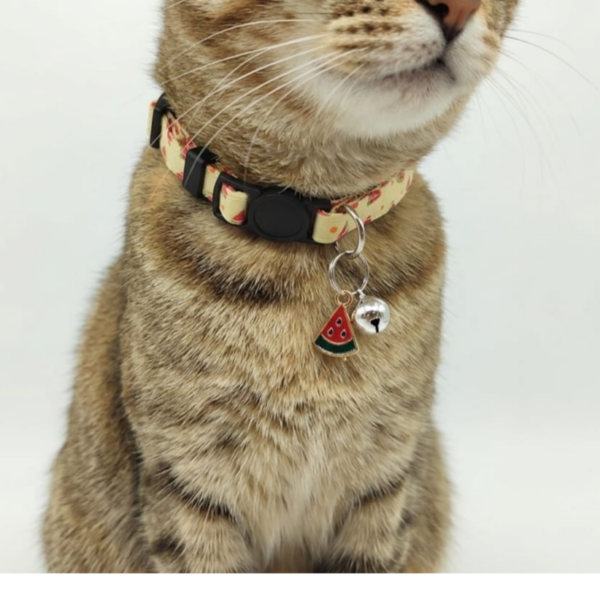 Breakway cat collars bells diffrent colour - style 17