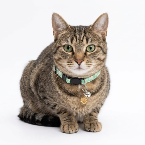 Breakway cat collars bells diffrent colour - style 19