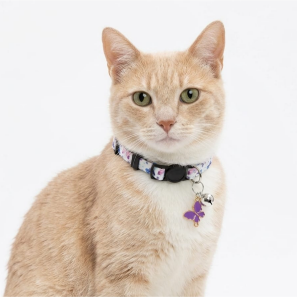 Breakway cat collars bells diffrent colour - style 2