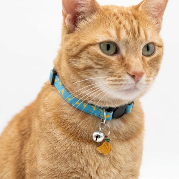 Breakway cat collars bells diffrent colour - style 26