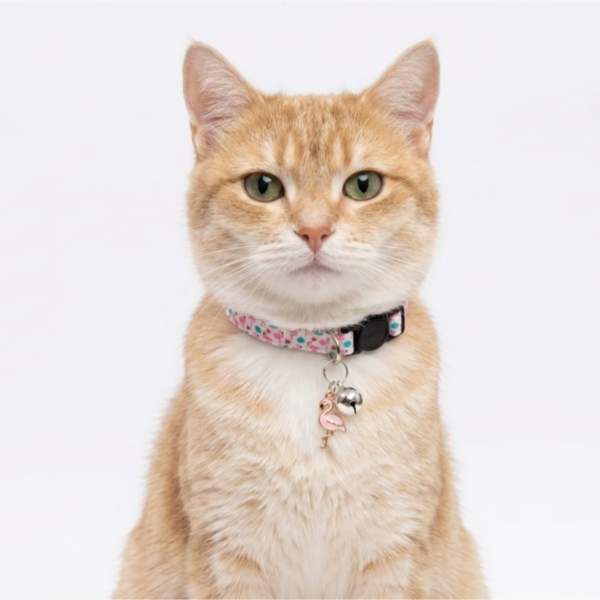Breakway cat collars bells diffrent colour - style 3