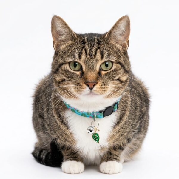 Breakway cat collars bells diffrent colour - style 30