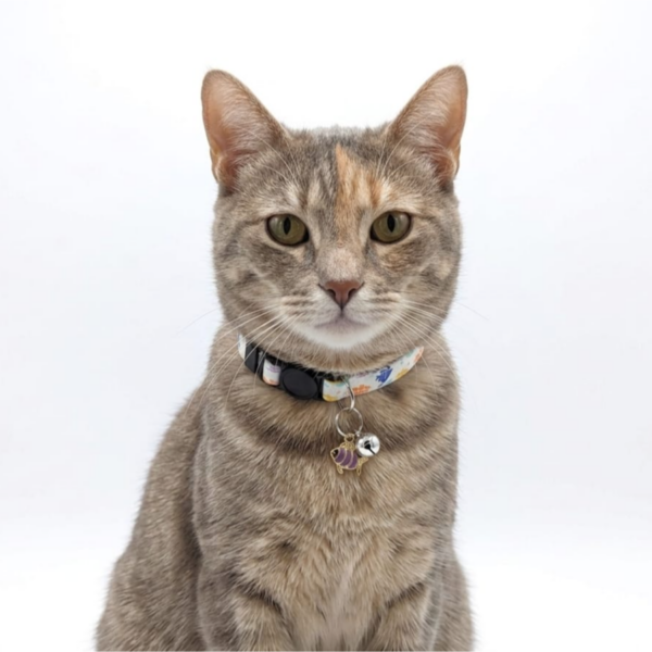 Breakway cat collars bells diffrent colour - style 4