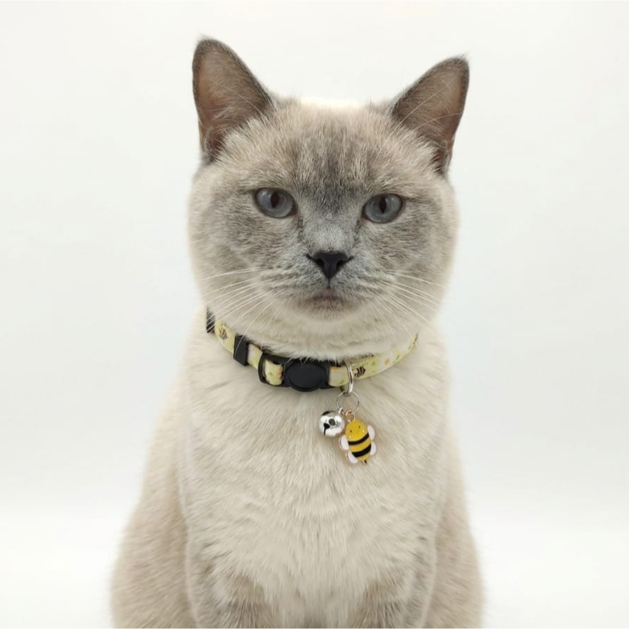Breakway cat collars bells diffrent colour - style 6